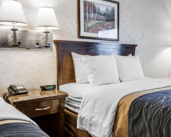 Comfort Inn Bellingham image 15